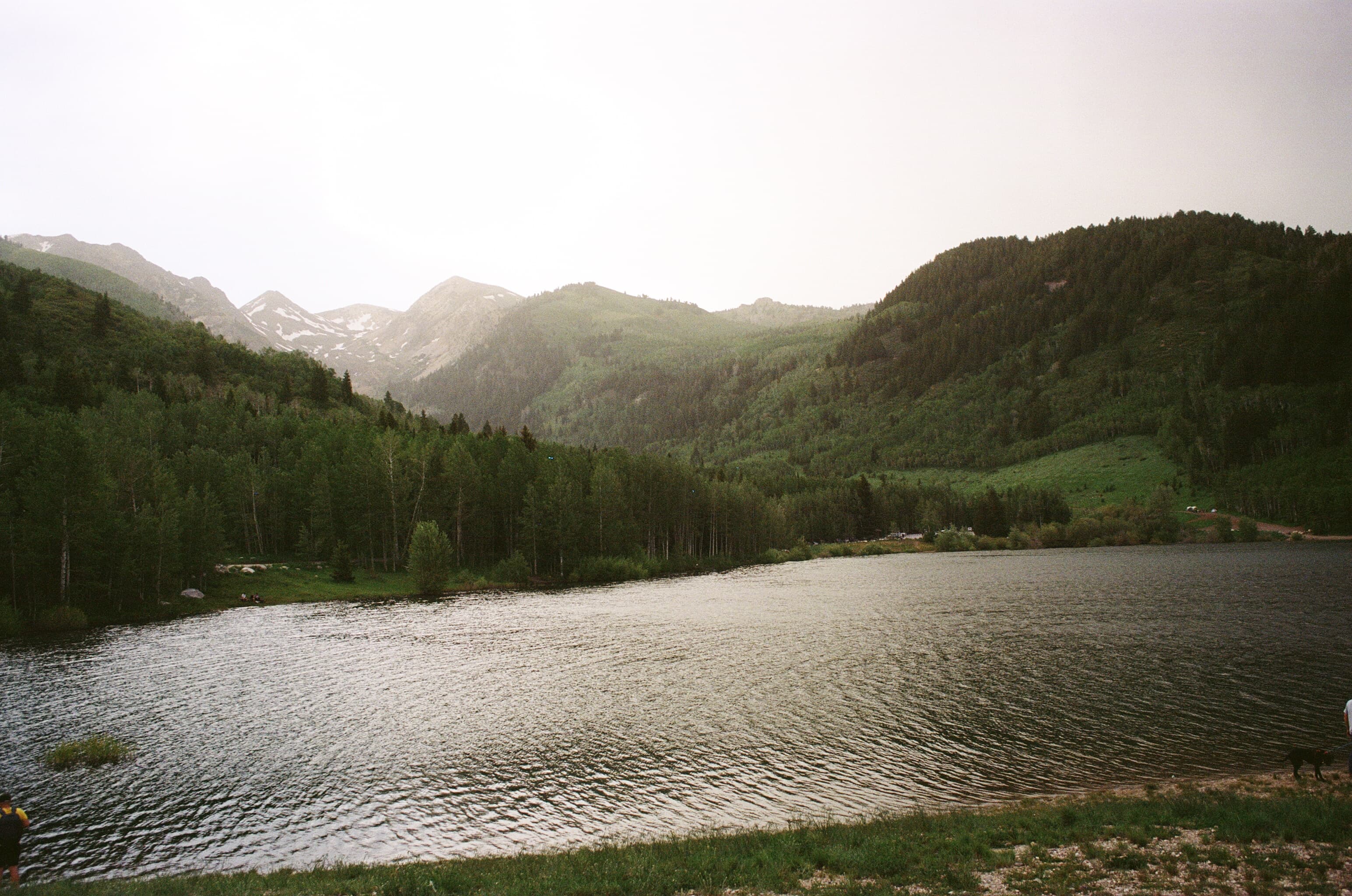 Landscape — cover